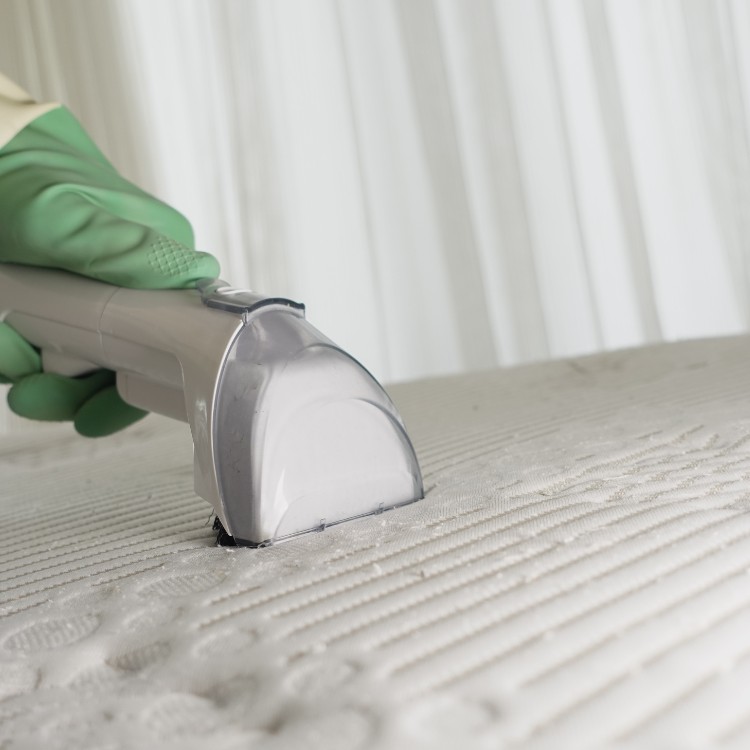 Carpet and Tile Cleaning in South Weber, UT