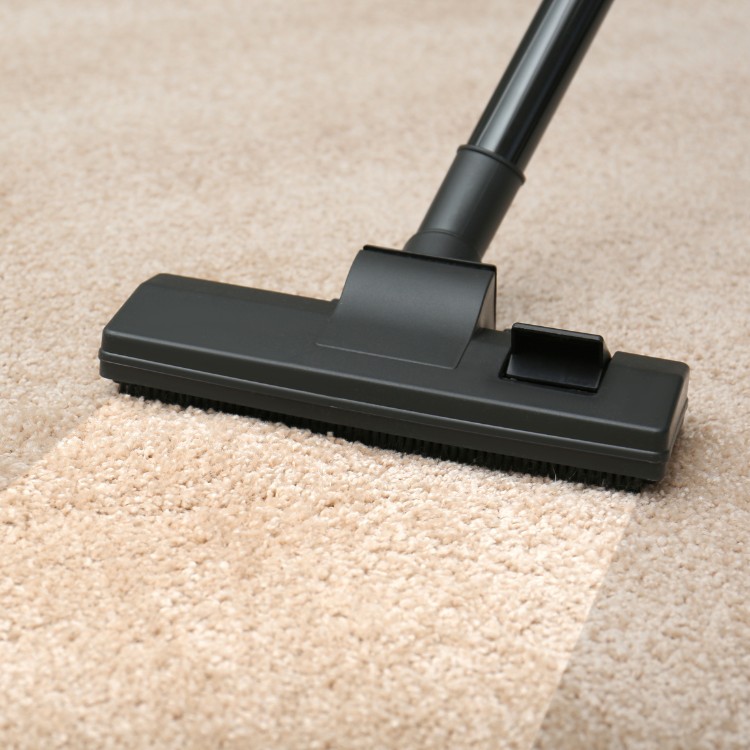 Carpet and Tile Cleaning in South Weber, UT Carpet and Tile Cleaning in South Weber, UT
