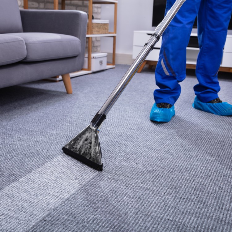Carpet and Tile Cleaning in South Weber, UT